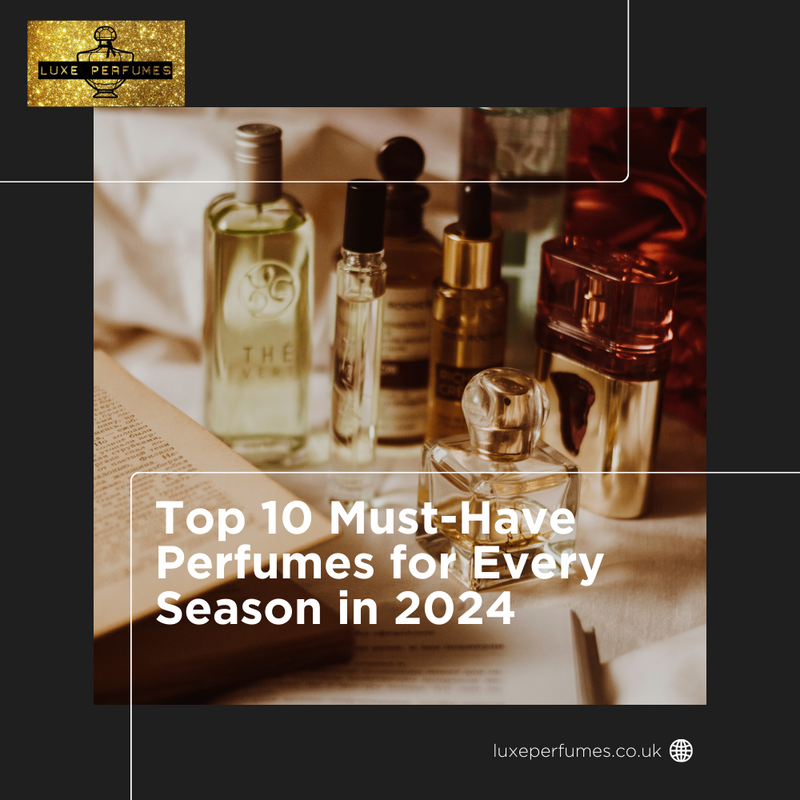 Top 10 Must-Have Perfumes for Every Season in 2024