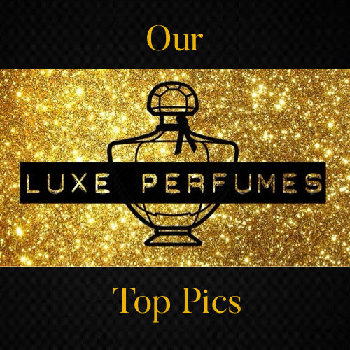 Our Top Picks