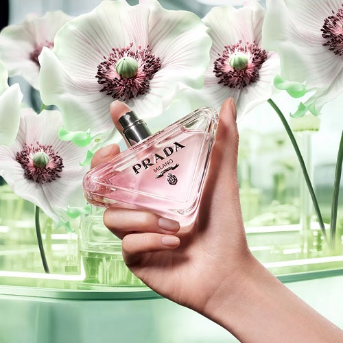 Prada perfume online